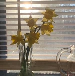 Meet your Posher, Tammy